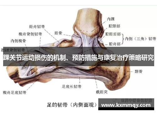 踝关节运动损伤的机制、预防措施与康复治疗策略研究