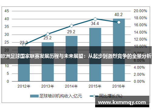 欧洲足球国家联赛发展历程与未来展望：从起步到激烈竞争的全景分析